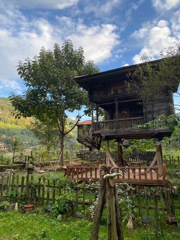 Zeni De Vore Serender & House Aparthotel Rize Exteriör bild